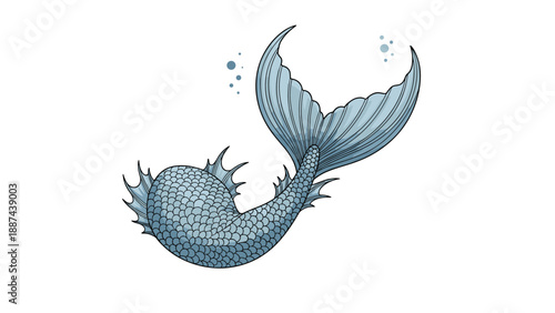 Detailed hand drawn sketch of beautiful mermaid tail with shiny scales and flowing fins for fantasy and ocean theme on white background.