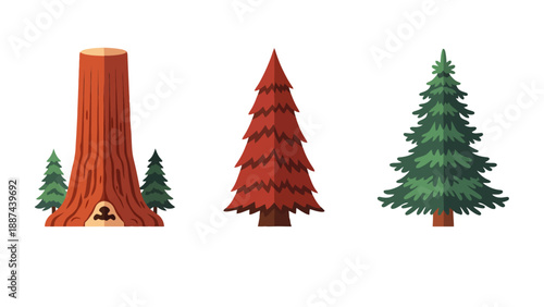 Illustrative vector set of a hollow redwood stump a red pine and a green fir tree.
