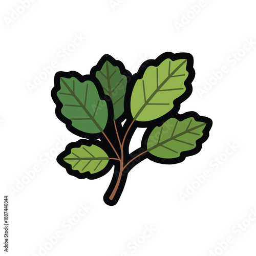 A cartoonish branch with 5 leaves