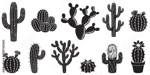 Collection of various cactus illustrations in black and white, showcasing different shapes and sizes of desert plants.