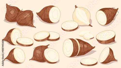 Variety of whole and sliced taro roots with brown skin and white flesh is displayed for culinary and agricultural themes.