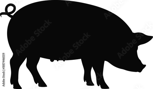 Pig silhouette, livestock icon, farm animal, black vector, agricultural symbol, female pig, curled tail, snout detail, rural theme, breeding stock