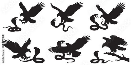Silhouette collection of eagles and cobras in combat and interaction poses.