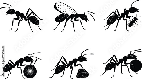 Ant silhouettes carrying different objects isolated on white background illustrating teamwork strength cooperation colony behavior hard work nature concept