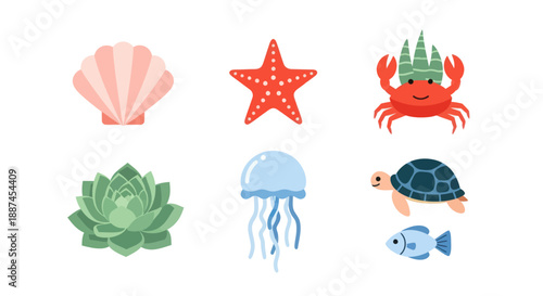 Colorful marine life illustration seashell starfish crab jellyfish turtle