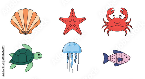 Colorful marine life illustrations featuring shell starfish crab turtle jellyfish fish