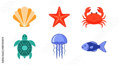 Colorful marine life illustrations featuring shell starfish crab turtle jellyfish and fish