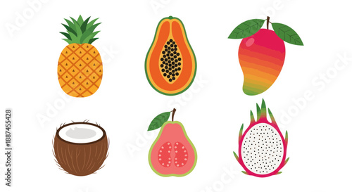 Colorful tropical fruits pineapple papaya mango coconut guava dragon fruit