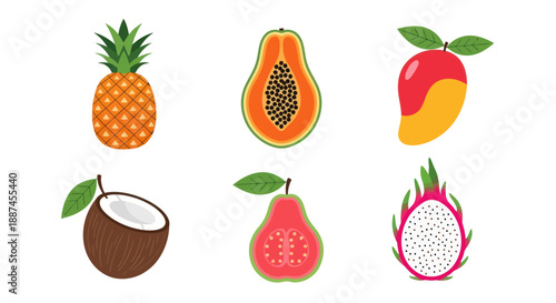 Colorful tropical fruits pineapple papaya mango coconut guava dragon fruit
