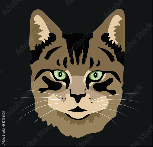 vector illustration of a cat