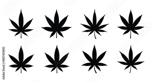 Eight cannabis leaf shapes in black starkly contrasting the white background silhouette
