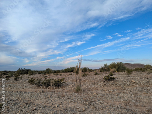 Sonora Desert Yuma Arizona Reference Photo