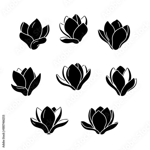 Set of delicate black and white magnolia flower illustrations in various stages of bloom