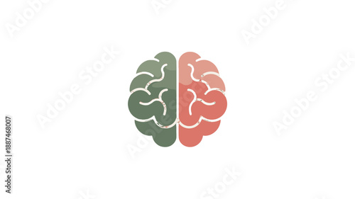 A simplified illustration of a brain, showcasing its dual hemispheres.
