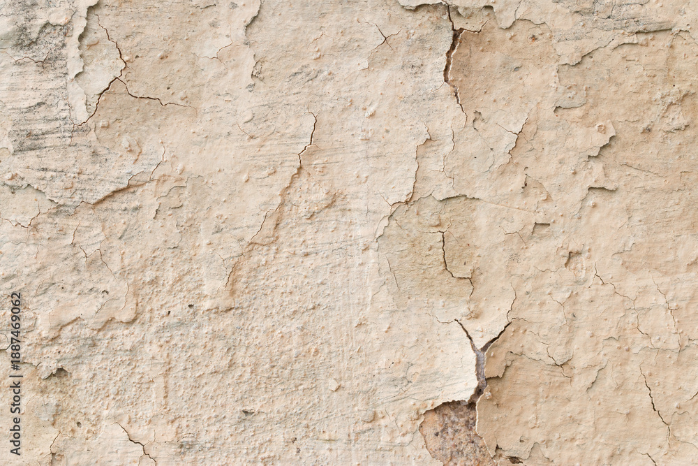 Fototapeta premium Light Gray Stucco Wall Texture. Abstract Background