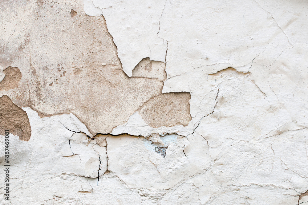 Obraz premium Light Gray Stucco Wall Texture. Abstract Background