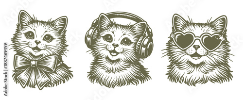 Three cute cats wearing a bowtie headphones and heart sunglasses.