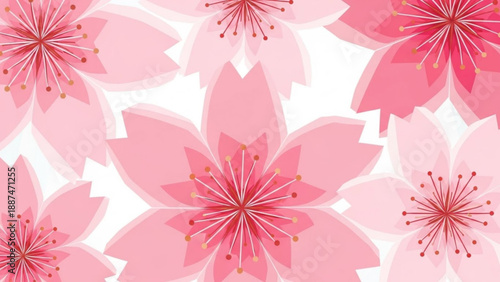 Pink Cherry Blossoms Pattern on White Background