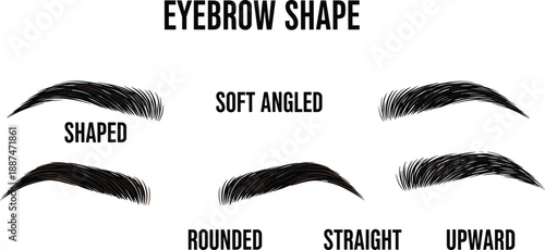 Eyebrow shape guide illustration showing shaped, soft angled, rounded, straight and upward brows, beauty makeup chart, realistic hand drawn vector design