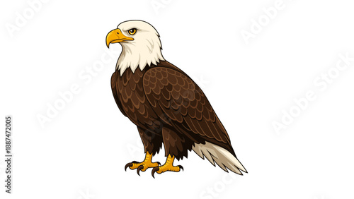 Bald Eagle Vector Illustration Majestic Bird of Prey