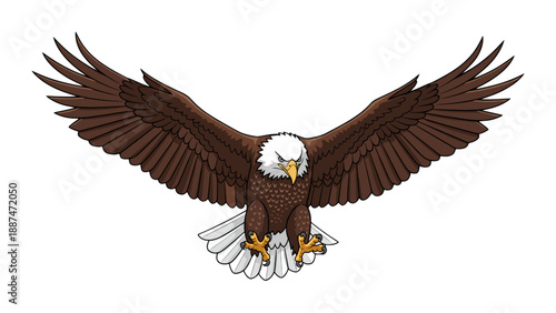 Bald Eagle Vector Illustration Majestic Bird of Prey