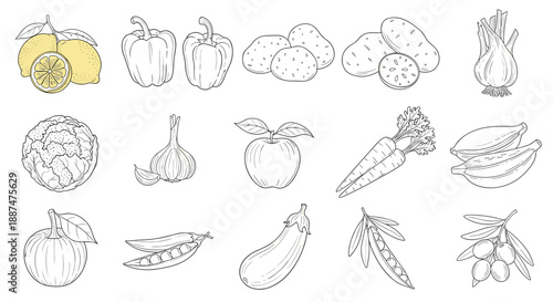 Assorted collection of hand drawn vegetable and fruit sketches including lemons peppers carrots and more on white.