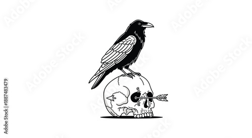 Black and white illustration of a majestic crow perched on a human skull with an arrow through the eye socket, symbolizing mortality and death.