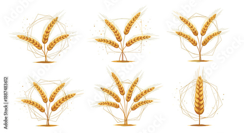 Stylized golden wheat ear arrangements set against delicate geometric line backgrounds for agricultural branding and autumn harvest themes.