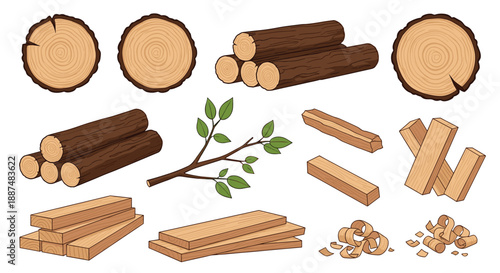 Assortment of wood related elements including logs cut tree trunks lumber planks a leafy branch and piles of thin curly wood shavings.