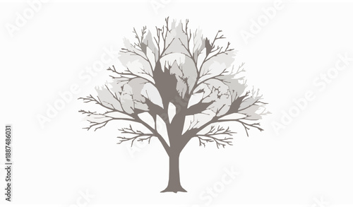 Realistic winter deciduous tree vector side profile isolated on white