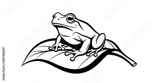 Black and white frog resting on a leaf nature illustration vector