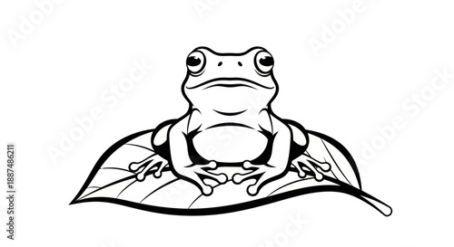 Black and white illustration of a frog on a leaf vector design