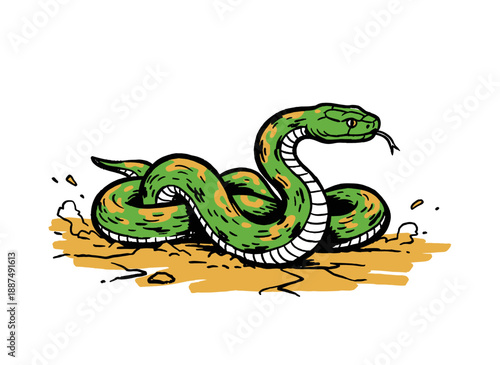 Green snake vector illustration. Wild reptile animal graphic. Danger animal design artwork. t shirt print, poster, sticker, background.