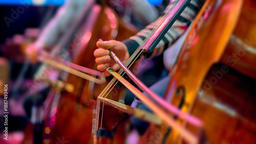 A cellist in an orchestra plays at a concert.