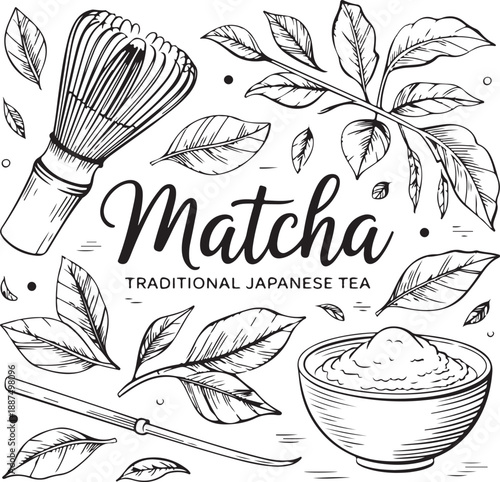 Matcha tea vector drawing. Bowl with matcha powder, green tea leaves, and bamboo whisk sketch.