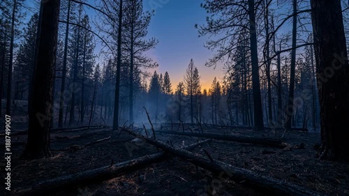 Dramatic Sunset Over Charred Forest After Wildfire With Wisps of Smoke and Silhouetted Trees