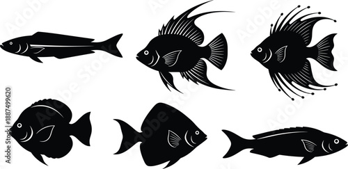 Silhouette fish illustrations showcasing diverse aquatic species with distinct fin shapes and body forms for marine biology, design, or educational visual content