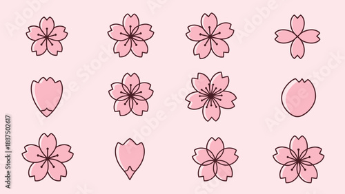 Cherry Blossom Icon Set - Pink Sakura Flower and Petal Vector Graphics