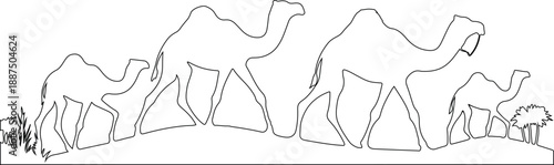Camels walking in desert line art