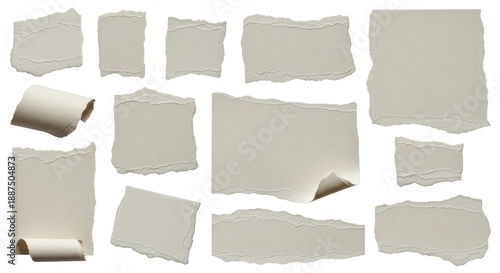 Wallpaper Mural Collection of tattered paper pieces Torontodigital.ca