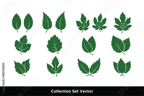 Green Leaf Varieties and Botanical Nature Icon Set