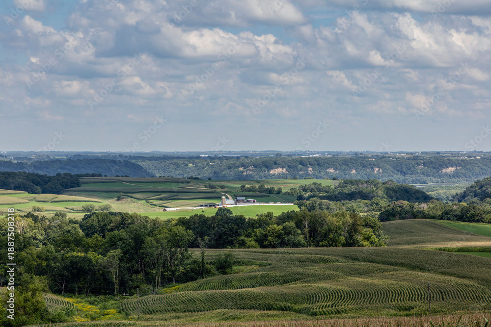 Fototapeta premium Rolling Hills and Farmstead with Contour-Farmed Fields