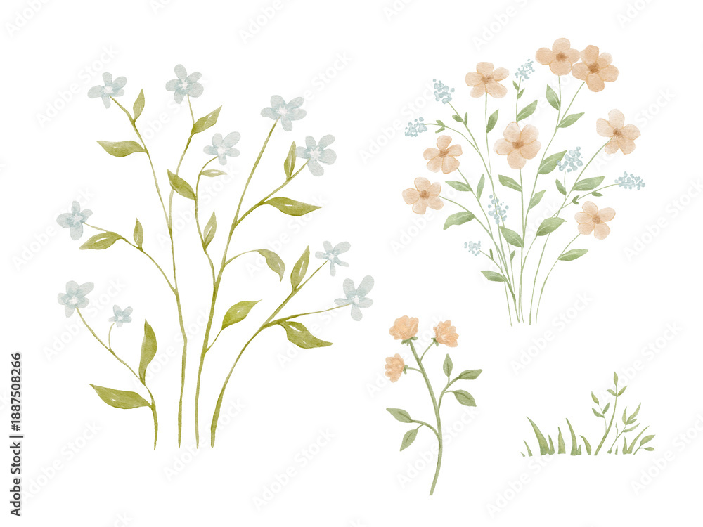 Fototapeta premium Watercolour wildflowers painting on isolated background, forest greenery in rural field. Nature elements set