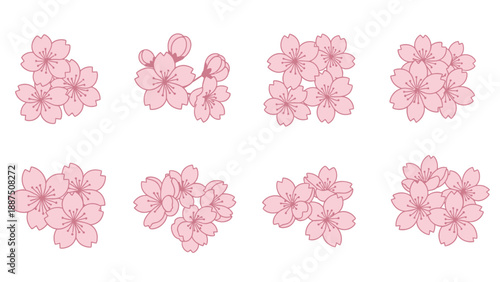 Collection of delicate pink cherry blossom clusters and buds on white background