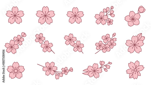 Collection of Pink Cherry Blossom Flowers and Branches