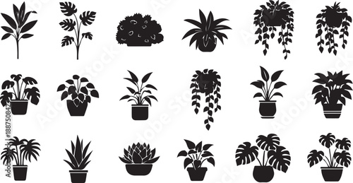 Large Collection of Indoor Houseplant Silhouettes Featuring Monstera Leafy Foliage and Hanging Potted Plants for Interior Decor Design