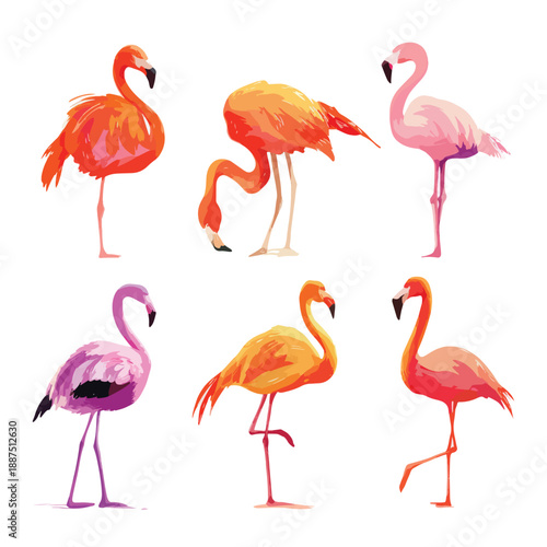 set of pink flamingos