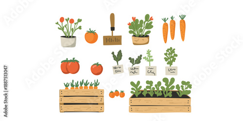 home gardening concept with seedlings tools and harvest
