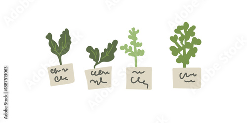 home gardening concept with labeled seedlings