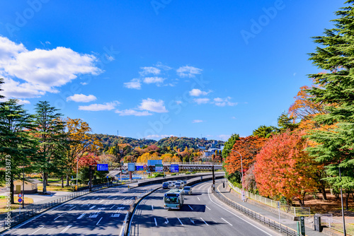 仙台 広瀬通　 秋
